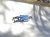 DSC02480.JPG