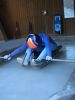 Filename=Coursedesanciens2008_2388.JPG
Filesize=693KB
Dimensions=1728x2304
Date added=11.Feb 2008 Coursedesanciens2008_2388.JPG
