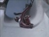 Filename=DoubleAltenberg.wmv
Filesize=390KB
Dimensions=0x0
Date added=22.Jan 2007 DoubleAltenberg.wmv